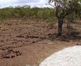 Wurrwurrwuy Garanhan Macassan Beach Interpretive Walk - New South Wales Tourism  0