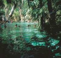 Mataranka Thermal Pool - New South Wales Tourism 