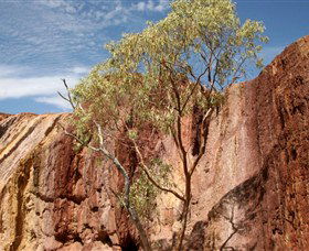 Ochre Pits - New South Wales Tourism  0