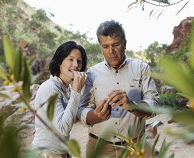 New South Wales Tourism