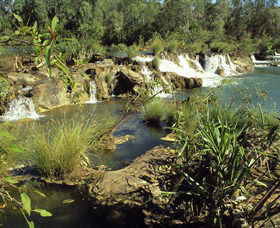 Flora River Nature Park - New South Wales Tourism  0
