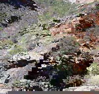 Serpentine Chalet Bush Camping Area - New South Wales Tourism 