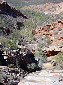 Serpentine Chalet Bush Camping Area - New South Wales Tourism  0