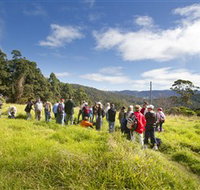 Apple Tree Park - New South Wales Tourism 