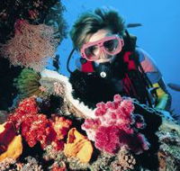 Cook Island Dive Site - New South Wales Tourism 