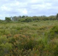 Pine Ridge Conservation Park - New South Wales Tourism 