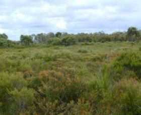 Pine Ridge Conservation Park - New South Wales Tourism  0