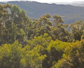 Conondale National Park - New South Wales Tourism  0
