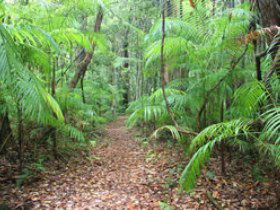 Mapleton QLD New South Wales Tourism 