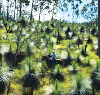 Bicentennial National Trail - Section 5 - New South Wales Tourism 