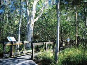 Noosa Heads QLD New South Wales Tourism 