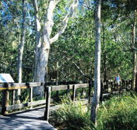 Kinaba Track - New South Wales Tourism 