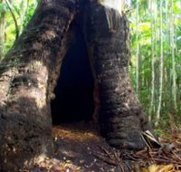 Tewantin National Park - New South Wales Tourism 
