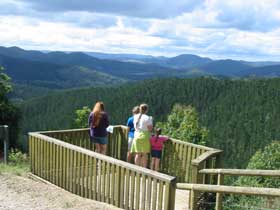 Kenilworth Forest Reserve - New South Wales Tourism  0