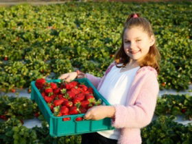  New South Wales Tourism 