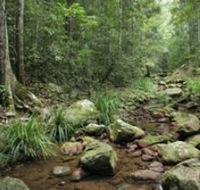 Amamoor State Forest - New South Wales Tourism 