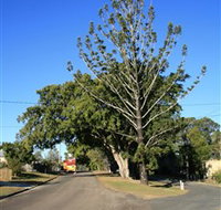 Anzac Avenue Memorial Trees Beerburrum - New South Wales Tourism 