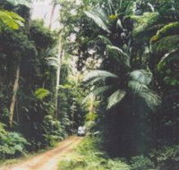 Conondale Great Walk - New South Wales Tourism 