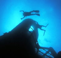 Ex HMAS Brisbane Dive Site - New South Wales Tourism 