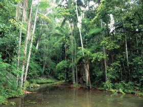 Mount Allan Trail - New South Wales Tourism  0
