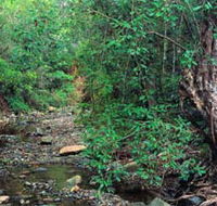 Mudlo National Park - New South Wales Tourism 