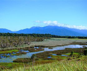 Eubenangee Swamp National Park - New South Wales Tourism  0