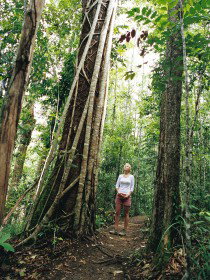 Wet Tropics - New South Wales Tourism  0