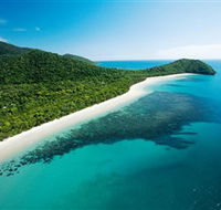 Cape Tribulation Daintree National Park - New South Wales Tourism 