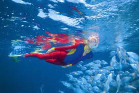 Great Detached Reef Dive Site - New South Wales Tourism  0