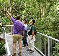 Daintree Discovery Centre - New South Wales Tourism 