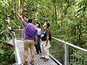 Daintree Discovery Centre - New South Wales Tourism  0