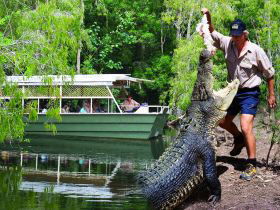 Hartleys Crocodile Adventures - New South Wales Tourism  0