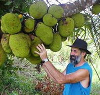 Cape Trib Exotic Fruit Farm - New South Wales Tourism 