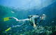 Tijou Reef - thumb 0
