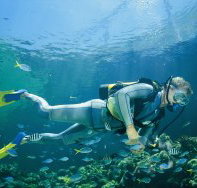 Tijou Reef - New South Wales Tourism 