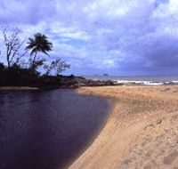 Russell River National Park - New South Wales Tourism 