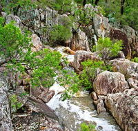 Crows Nest National Park - New South Wales Tourism 