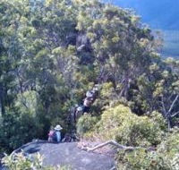 Mia Mia State Forest - New South Wales Tourism 