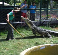 Snakes Downunder Reptile Park and Zoo - New South Wales Tourism 