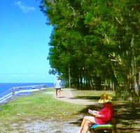 Melaleuca Track - New South Wales Tourism 
