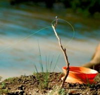 Charleville - Mangalore Warrego River Fishing Spot - New South Wales Tourism 