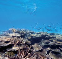 Australian Institute of Marine Science - New South Wales Tourism 