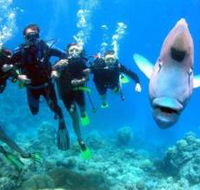 Gotham City Dive Site