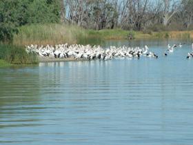  New South Wales Tourism 