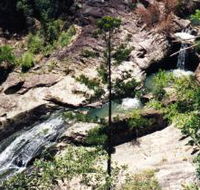 Banksia Track and the Boardwalk - New South Wales Tourism 