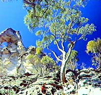 Mount Moffatt Section - Carnarvon National Park - New South Wales Tourism 