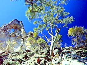 Mount Moffatt Section - Carnarvon National Park - New South Wales Tourism  0