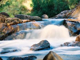 Crows Nest Falls - New South Wales Tourism  0