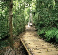 Lake Barrine Circuit Track Crater Lakes National Park - New South Wales Tourism 