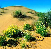 Simpson Desert National Park - New South Wales Tourism 